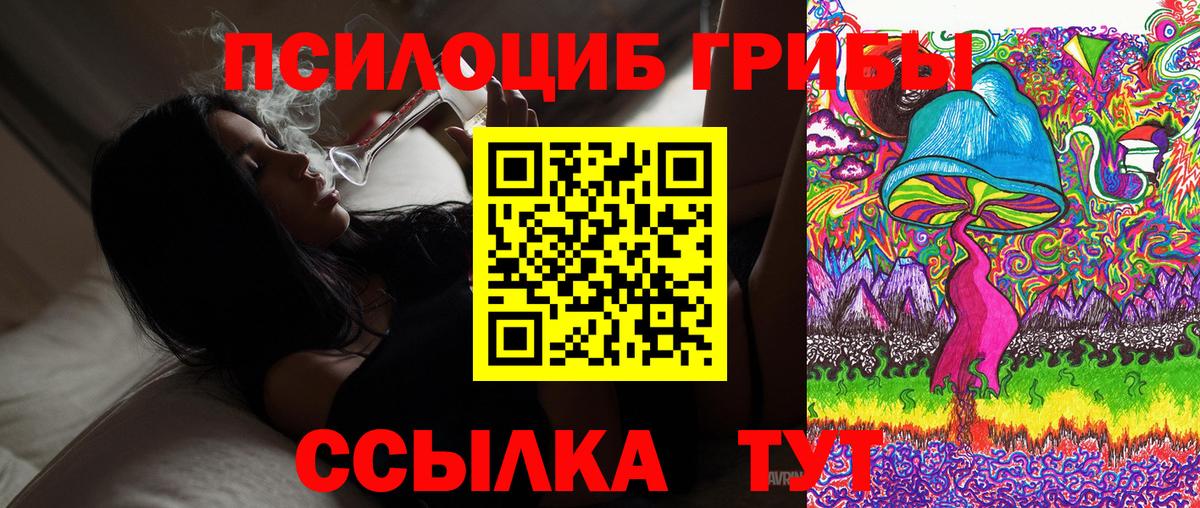 Галлюциногенные грибы Cubensis Набережные Челны